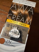 ビゲン 泡クリームカラー 2N ブライトBR