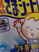 小林製薬 からだに貼る 熱さまシート 14枚