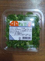 中延園 旬の薬味 青ねぎ 25g