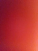 ホリアキ たまねぎ 1P