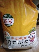 横須賀食糧 千葉県産ふさこがね 5kg