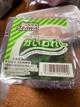 井澤 かいわれ大根 Sポット 1個