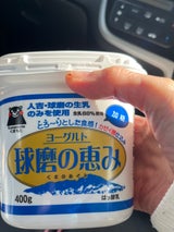 球磨酪農 球磨の恵みヨーグルト 400ml