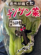 JA熊本 チンゲン菜