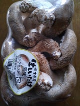 JAしおのや 椎茸