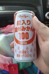 日本果実 粒入温州みかんジュース 195g