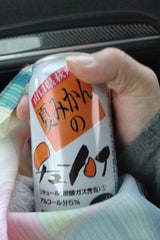 正直山口 夏みかんチューハイ 350ml