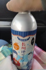 日本果実工業 長州地サイダー 490ml