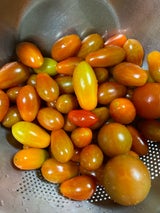 とまとランドいわき とまとスタンドパック 1P