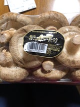 全農えひめ 菌床しいたけ 240g