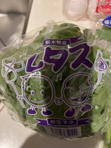 諸川 レタス 栃木産