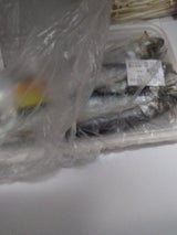 マルト中村 中羽めざし 3尾