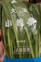 大治農協 小松菜