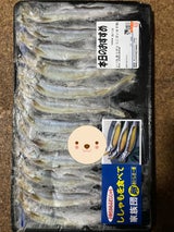 岡田 ししゃも 4L 12尾