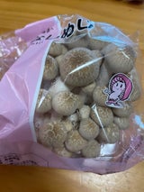 ハーツ ぶなしめじ 1株