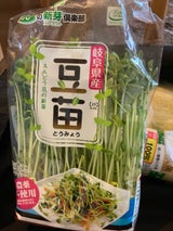 丸藤 豆苗