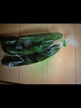 ベルグリーン ユニーきゅうり 1P