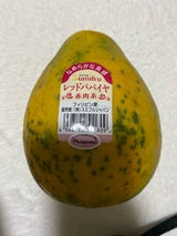 スミフルジャパン フィリピンなどの国外産パパイヤ