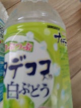 サンガリア つぶつぶナタデココ入白ぶどう500ml