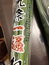 昭栄 九篠やわたねぎ