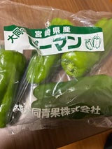 宮崎大同 ピーマン