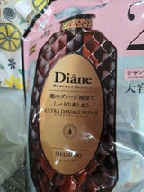 ダイアン EXダメージSP 替大