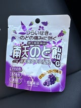 南天のど飴G 22錠