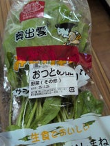 JA雲南 サラダほうれんそう