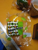 ベイ・コマース パプリカ 黄 韓国