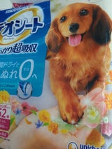 デオシート 消臭グリーングラス ワイド 52枚