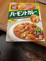 ハウス レトルト バーモントカレー中辛 200g