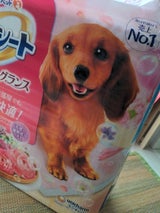 デオシート 消臭&F フローラルシャボンW 60枚