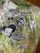 JA全農いばらき グリーンカール