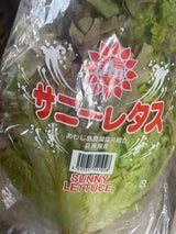 JAあわじ島 サニーレタス