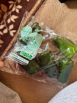 JA大分県 ピーマン 150g
