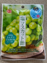 加藤製菓 塩マスカット飴 58g