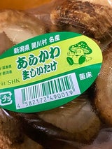 関川村森林組合 生しいたけ 100g