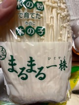 丸金 まるまる一株えのき茸