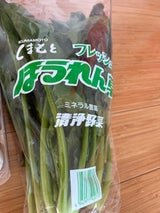 東京インキ ほうれん草