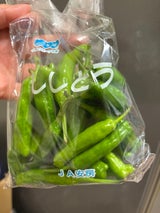 JA千葉 ししとうがらし