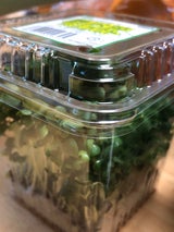 井澤 野沢菜スプラウト 1P