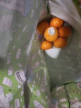 青果のシオヤ みかん くまもんスタンド 1kg