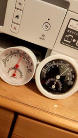 Gオーナメント 温湿度計