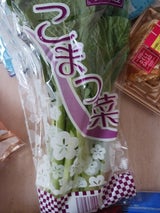 アドバンス こまつな 1P