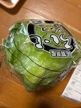 JAビバ佐賀 レタス