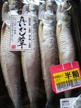 権現 千葉真いわし若干大4尾ペスカ