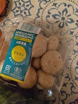 舟形 有機 ベビーベラ ホワイト 150g