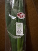 丸果会津青果 有機野菜 ねぎ 200g