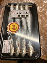 権現 真いわしめざし 8尾