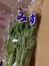 井坂 みず菜 200g